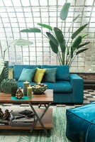 ciekawe wnętrza z błękitną kanapą, zielone dodatki do domu 