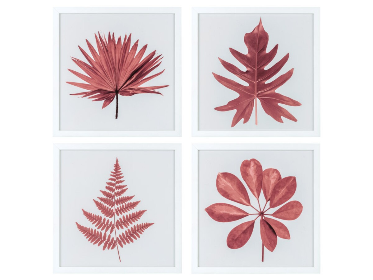 Zestaw obrazków w białej ramce, różne kształty liście, bordowe liście o różnych kształtach
