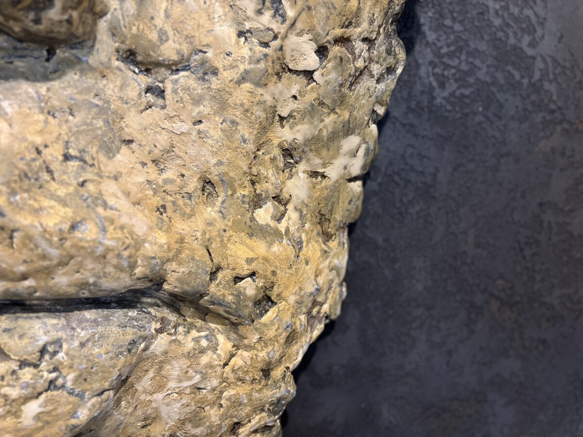 Płaskorzeźba głowa w kolorze beżowo-złotym. Oryginalna maska na ścianę, Dekoracja do salonu, gabinetu w kształcie głowy. 