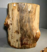 LT25-051-2