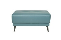Liam footstool_ savauge ice leather 2.jpg