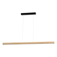 1017413600000_Forestier