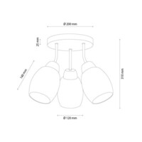 2037425720883_Skizze