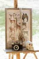 Zdjęcie natura, Obraz ze zwierzętami, Obraz w drewnianej ramie, Styl Boho