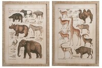 Obrazy przedstawiające zwierzęta, oryginalne obrazki w drewnianej ramie