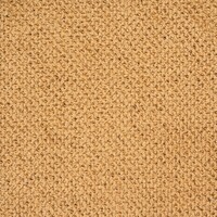 991536-17 Antero Mustard