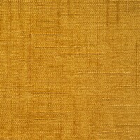 991537-17 Valdes Mustard
