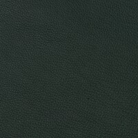 Bolzano_teal_892545-462