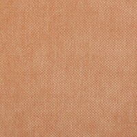 Evita_991373-14_Salmon2