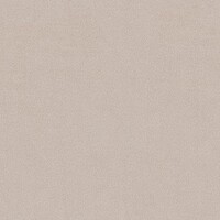 GAEL_41_2_diffuse