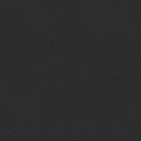 Golf_893508_89_Black2