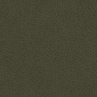 Grizzly_1518_28_Olive2