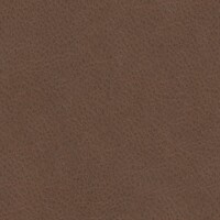 Grizzly_1518_68_Kastanj2