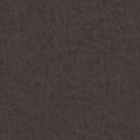 Grizzly_1518_79_Antracit2