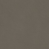 Meno_2533_64_Elephant2