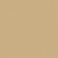 meno_892533_03_ivory2