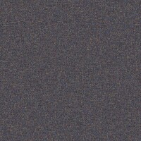 twinbru_Alaska_01-Nocturne_eb6c3239f6cd488ebd804fc2cebfbef6_col
