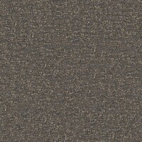 twinbru_Alaska_24-Cement_eb6c3239f6cd488ebd804fc2cebfbef6_col