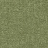 twinbru_Casual_25-Palm_0dd7d612f29d41bca3d7051e55d99fb1_col