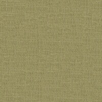 twinbru_Casual_26-Moss_0dd7d612f29d41bca3d7051e55d99fb1_col