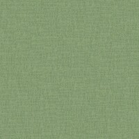twinbru_Casual_50-Mint_0dd7d612f29d41bca3d7051e55d99fb1_col