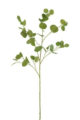 Eukaliptus gałązka zielona, sztuczna roślina  12516