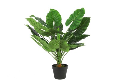 Sztuczna monstera, roślina ozdobna bezobsługowa.
