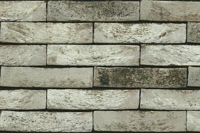 Cegla-Forno-bilone-cegly-elewacyjne-bielone-i-postarzane-cegly-elewacje-z-cegiel-projekty-elewacji-cegly-do-wnetrz-plytki-ceglane-bielone6.jpg